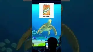 Turtle talk with crush. FAVORITE SODA 😂
