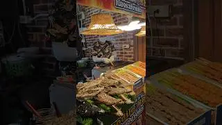 Шашлык из Крокодила в Паттайе 