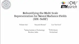 Robustifying the Multi Scale Representation of Neural Radiance Fields
