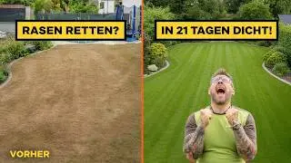 Rasenpflege im Frühjahr: Die Geheimnisse einer erstklassigen Rasenpflege