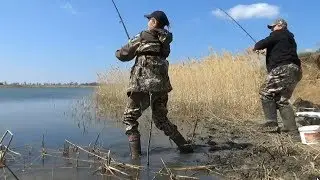 Ловля крупного карася на фидер. Весенняя рыбалка