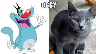 Zig and Sharko characters in real life- zig ve sharko karakterleri gerçek halleri-zig和sharko人物在现实生活中