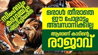 സിംഹവും കടുവയും ഏറ്റുമുട്ടിയാൽ ||  ഒരാൾ തീരാതെ ഈ പോരാട്ടം അവസാനിക്കില്ല || TIGER LION FIGHT