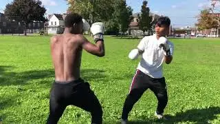boxer vs street fighters street boxing