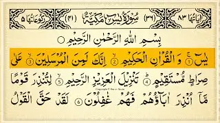 Surah Yasin (Yaseen) Full With Arabic Text | Sheikh Alaa Aql | Ep - 011 