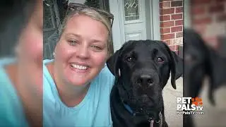 Roncalli Facility Dog