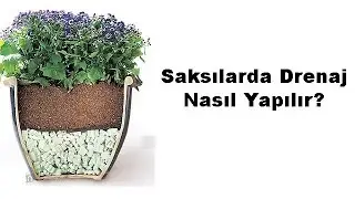 Saksılarda Drenaj Nasıl Yapılır?