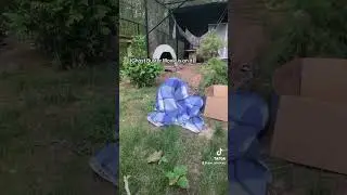 Is that a ghost? 🙀