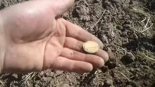 Пятаки копейки Мансуровы