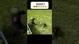 respect