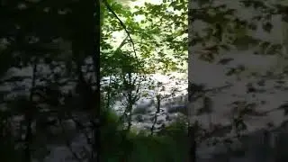 Спуск к водопаду на реке Курджипс. Поселок Мезмай
