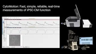 CytoMotion: Fast, simple, reliable, real-time measurements of iPSC-CM function
