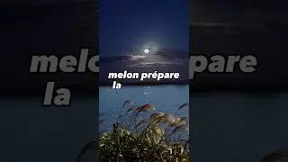 Melon et meleche...
