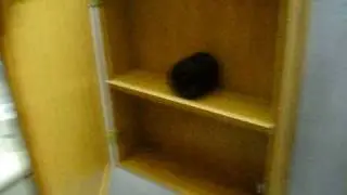 The bathroom spy CAM - Cabin Trip