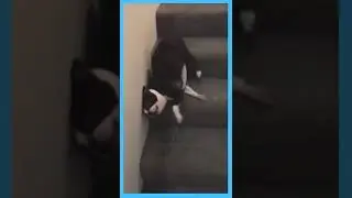 Leg Days Be Like 💪 