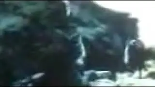 стоять міліція!