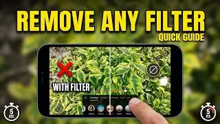 How to Remove TikTok Filter (Quick Guide)