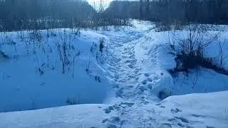 Зимний поход выходного дня, обед в лесу