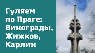 Престижные районы Праги: Винограды, Жижков, Карлин. Прогулка по Праге