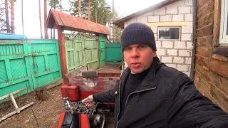 Купил еще одного муравья.