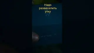 надо развеселить утку