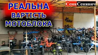 Скільки коштує мотоблок в Україні в 2022 РОЦІ, реальні, а не вигадані ціни на техніку