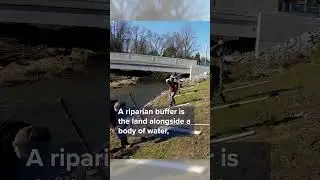 What is a Riparian Buffer?
