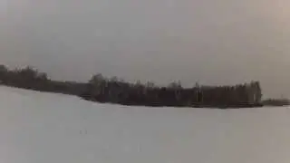 Косуля ты моя не взятая