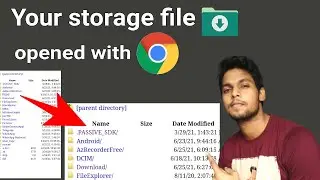 How to access internal storage file from chrome browser