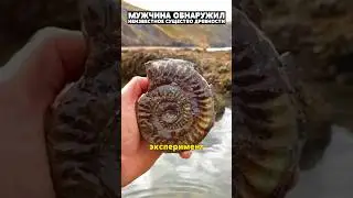 Мужчина обнаружил таинственную окаменелость