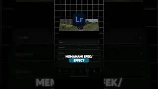 Part 6 | Memahami Effect di Aplikasi Lightroom Mobile