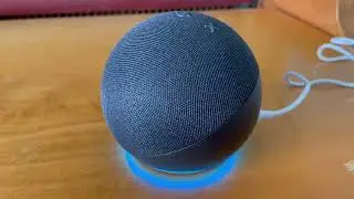 How to Change Amazon Alexa's Voice