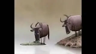 لا تتعب نفسك مع عنيد