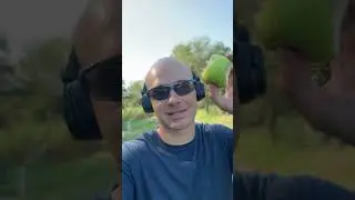 СЕКРЕТНЫЕ ЯБЛОКИ В ПРИМОРСКОЙ БУХТЕ!