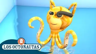 Los Octonautas - El pulpo imitador | Episodios Completos