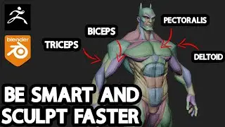 New Anatomy Primitive Meshes Tool For Sculpting in Zbrush & Blender