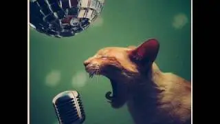 Solomun - Beauty & The Beast (Vocal Mix)