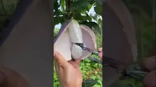 Its Really Amazing Technology