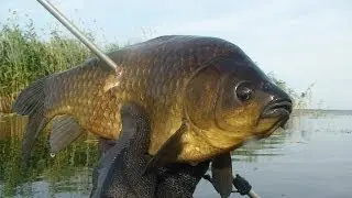 Уроки подводной охоты день 1 / Подводная охота Александр Кочубей