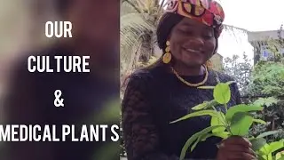 Culture- Preserve  medicinal plants