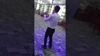 Туй 2024 Понгоз