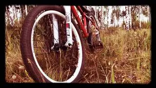 DMR transition 24
