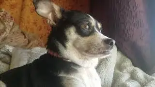 My sweetness