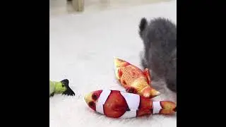Catnip Fish Toys for Cat Simulation Fish Shape Realistic Fluffy Catnip Doll Interactive Pets