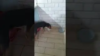 завтрак