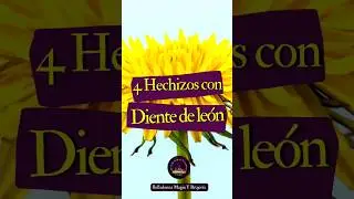 Wicca- 4 Hechizo con diente de león 