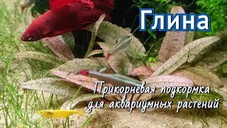 Простое прикорневое удобрение для аквариумных растений.