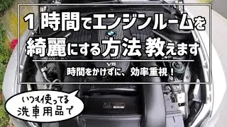 【時短で】エンジンルームの掃除の仕方 How to clean your engine bay in 1 hour BMW X5 E70