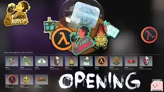 CS:GO Half-Life: Alyx Sticker Capsule Opening