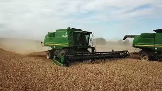 Уборка урожая пшеницы 2022 в Новосибирской области